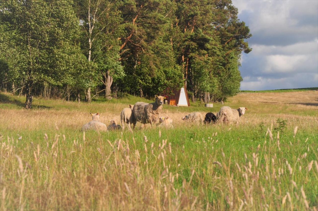 Sandfallet Glamping Laholm Exterior photo